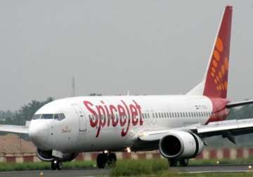 spicejet suspends surat operations after run in with a stray animal