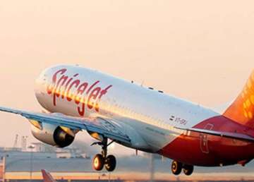 spicejet mum on sell out says exploring all options for funds