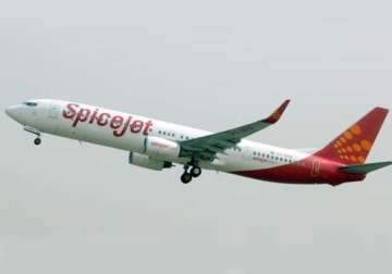 spicejet presents revival plan to government