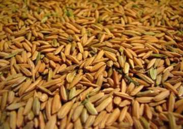 india sees 62 percent jump in sown crop area