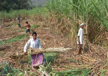 up dms issued contempt notices over sugarcane dues