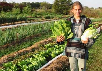 organic farming takes root in urban households