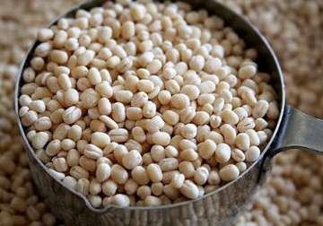 government to import 5 000 tonnes of urad to contain prices