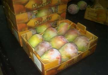 new packaging practice helped in lifting of eu ban on mango