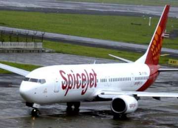 40 pilots quit spicejet auditors doubt airline s viability