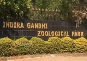 world bank to extend 20 million for reconstructing visakhapatnam s indira gandhi zoological park