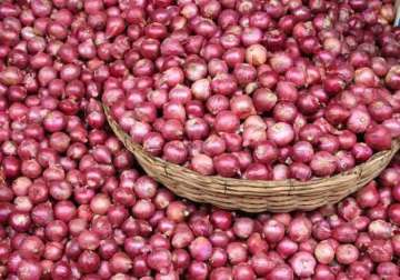 govt to import additional 1k tonnes of onion to boost supply