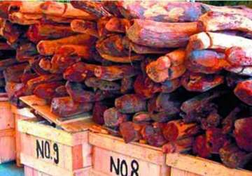 andhra earns rs.991 crore from e auction of red sanders