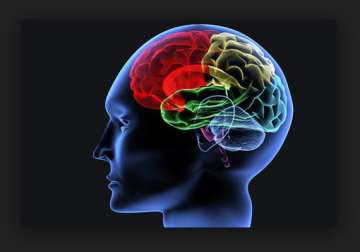 brain mapping can help spot reading disorders study