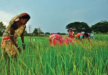 economic survey calls for big changes in agri sector bats for gm crops