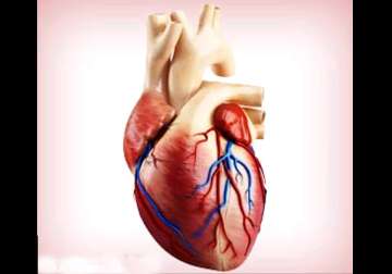 living heart tissue grown