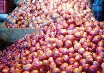 nafed floats tender to import onions amid high domestic prices