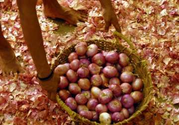 nafed proposes hike in onion mep to 900/tonne