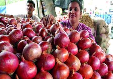 onion exports up 25 in fy 14
