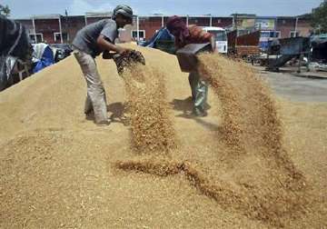punjab wants to export wheat rice via wagah to iran iraq