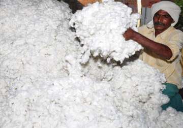 roll back on cotton export ban govt. issues notification