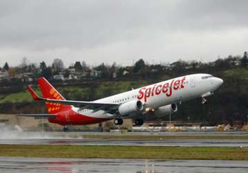 spicejet launches new travel options
