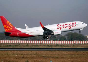 spicejet reports q4 net loss at rs 321.5 cr