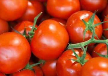 tomato prices touch rs 80 per kg