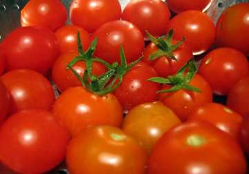 tomatoes rs 50 a kg govt says food inflation down to 7.78 pc