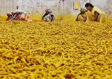 turmeric price shoots up by rs 2500 a quintal in a month