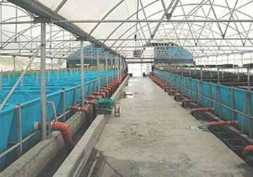 world s biggest fish farm launched in abu dhabi