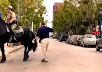 man pats horse. horse not too happy. see what happens next