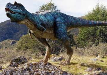 revealed dinosaurs did show off sexual display to woo mates