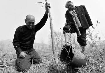 chinese best friends one blind another armless plant 10 000 trees in 10 years