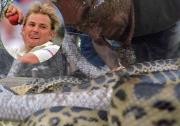 watch shane warne bitten by anaconda in south african jungle