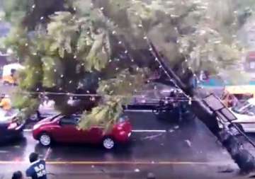 caught on cam car crushed by a big tree during heavy chennai rains