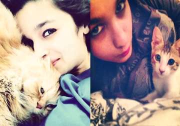 alia bhatt urge fans to love animals more than her