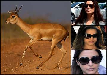 blackbuck case sonali bendre tabu and neelam to appear in court today see pics