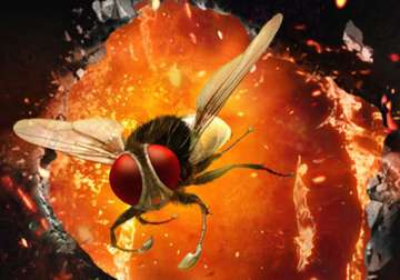 eega takes foreign film fests by storm