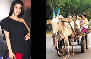 ghazini actress asin travels in a bullock cart in madurai