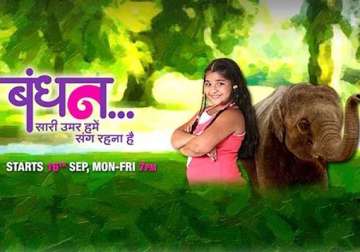 bandhan tv show a cute story with an elephant in lead