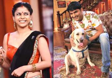 comedy nights with kapil will kapil sharma s dog zanjeer be a new family member after leap