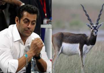 black buck case salman may have to spend 3 7 years in jail if convicted