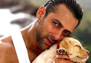 unbeatable salman khan tops the celebrity list by times celebex ranking