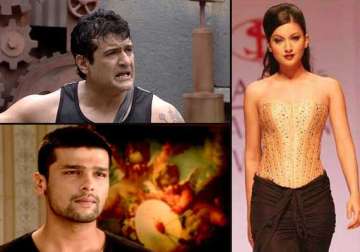 unknown facts about bigg boss 7 contestants view pics