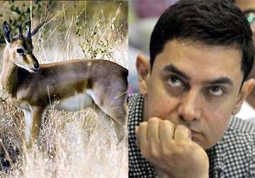 after salman now aamir khan gets dragged in chinkara filming case