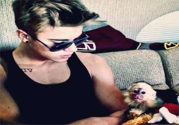 bieber gets hefty bill for pet monkey