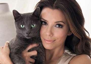 cats similar to women says longoria