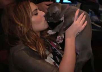 cheryl cole wants a puppy