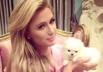 full time nanny for paris hilton s pet