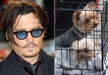 johnny depp in trouble could face 10 year jail term over his dogs