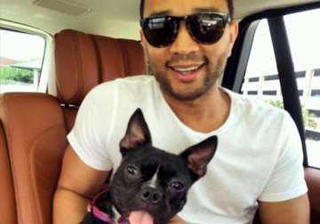 john legend and wife chrissy brought home an abused dog