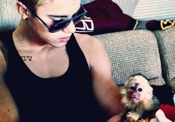 justin bieber pays 10 000 bill for pet monkey