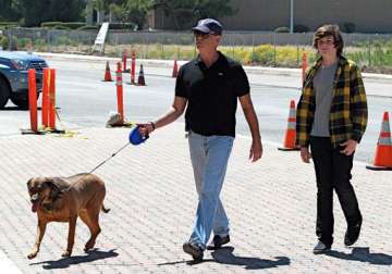 pierce brosnan supports neutering of dogs