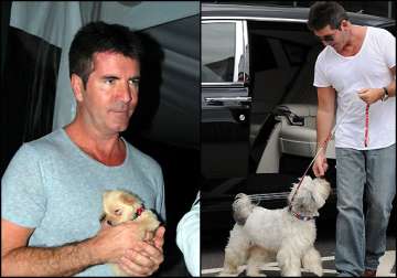 simon cowell gifts his dogs a spa trip and therapy